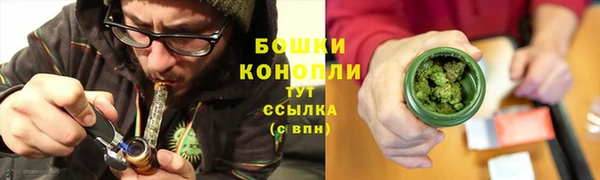 крисы Дмитриев