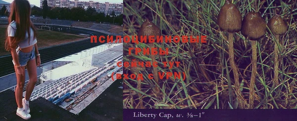 прущая мука Дмитровск