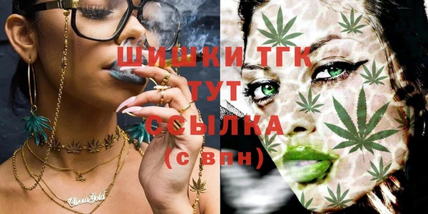 винт Дмитров