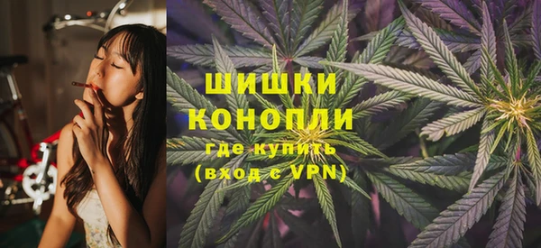 винт Дмитров
