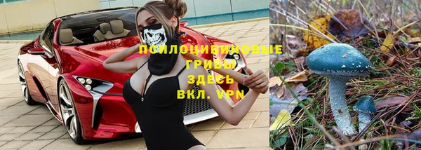 крисы Дмитриев