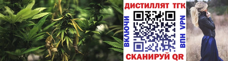 ТГК концентрат Приморск