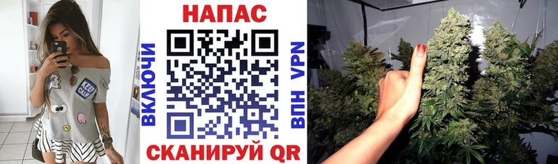 Бошки марихуана AK-47 Приморск